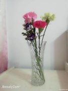 緣分將至 你在哪里