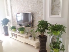 書(shū)香美苑1樓帶花園，緊鄰五中