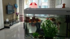 出售水岸人家A區(qū)4樓94.44平方，65萬