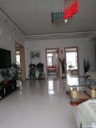 售樓：江山花園7—2—701，115平，