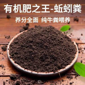 釣魚蚯蚓，飼料蚯蚓