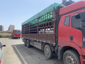 出售九米六前四后八重體