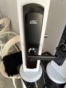 龍湖藍(lán)山給的指紋鎖200包安裝