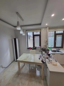 南湖一號兩室一廳出租