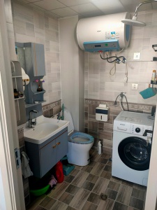 鐵北綠園房子出租