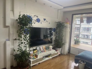 吉售 民安北苑 樓王位置 前后大陽臺