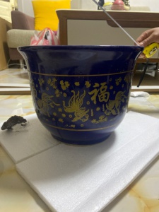 自家用花盆，有需要者 上門(mén)自提