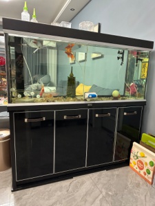 1米8大魚(yú)缸，配件齊全都好使，因家里裝修出售，